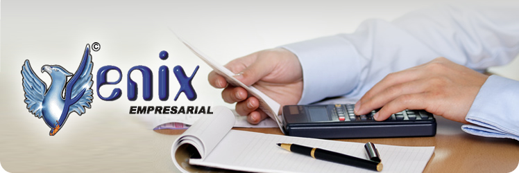 Fenix Empresarial